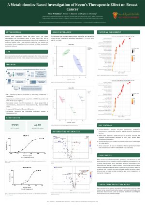 Poster Nour.pdf